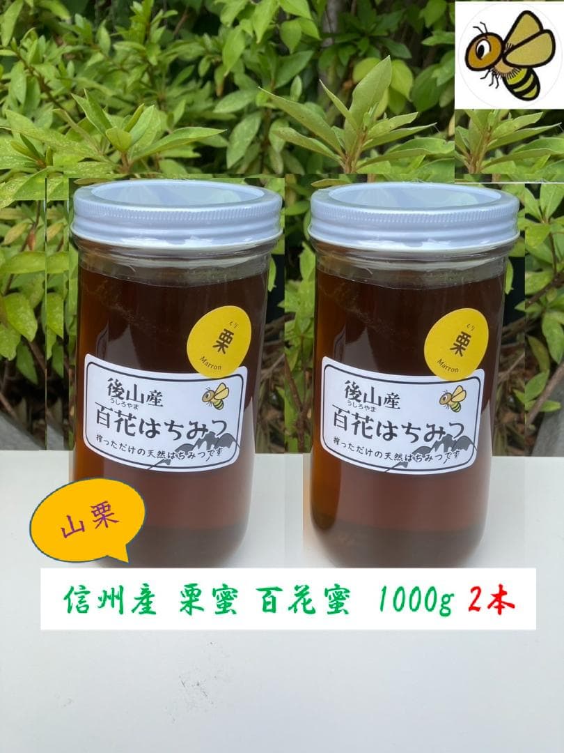 【初出】山栗 百花蜜 1000g 2本 信州産 セイヨウ蜜蜂 栗蜜 国産蜂蜜
