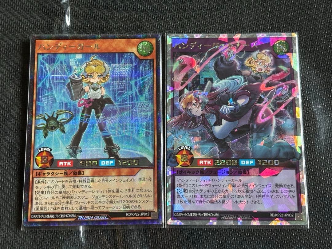 ハンディーガール ハンディーパートナーズ