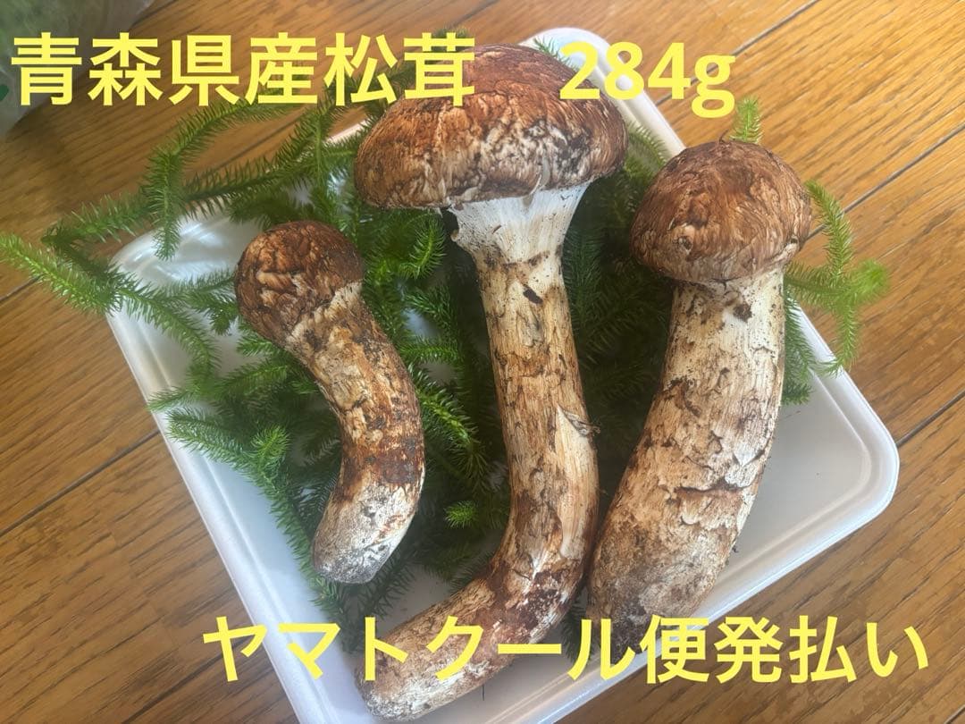 青森県産　松茸　マツタケ　284g