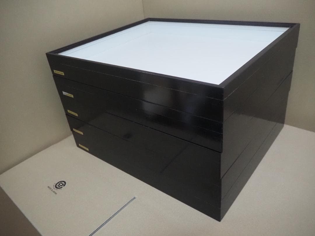 標本箱　ドイツ箱　大型 5個セット(中古、藤本標本用品製)