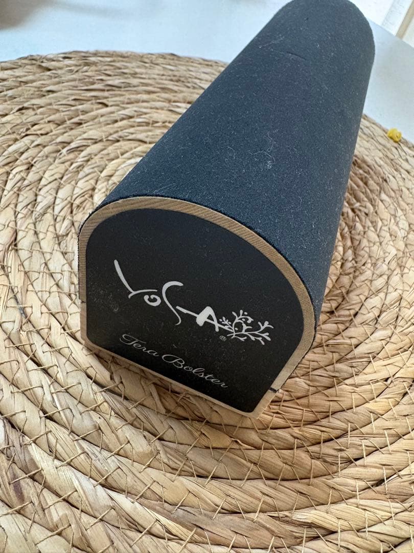 ヨサ　テラボルスター