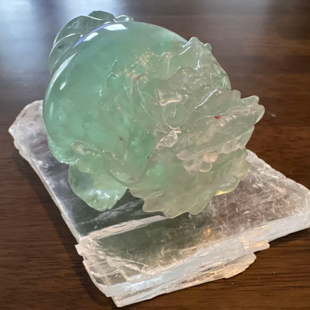 あきずき　フローライト　龍亀　ロングイ　２体セット