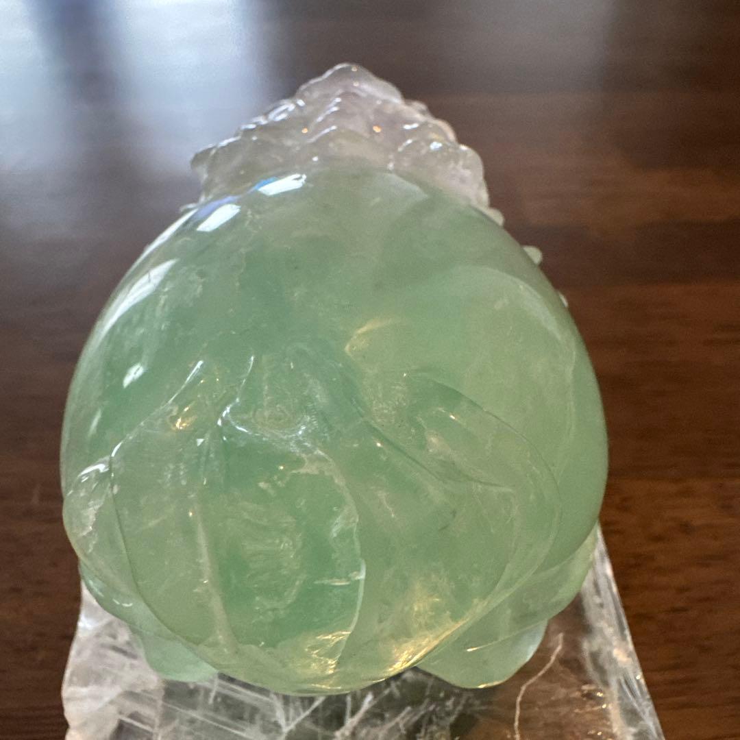 あきずき　フローライト　龍亀　ロングイ　２体セット