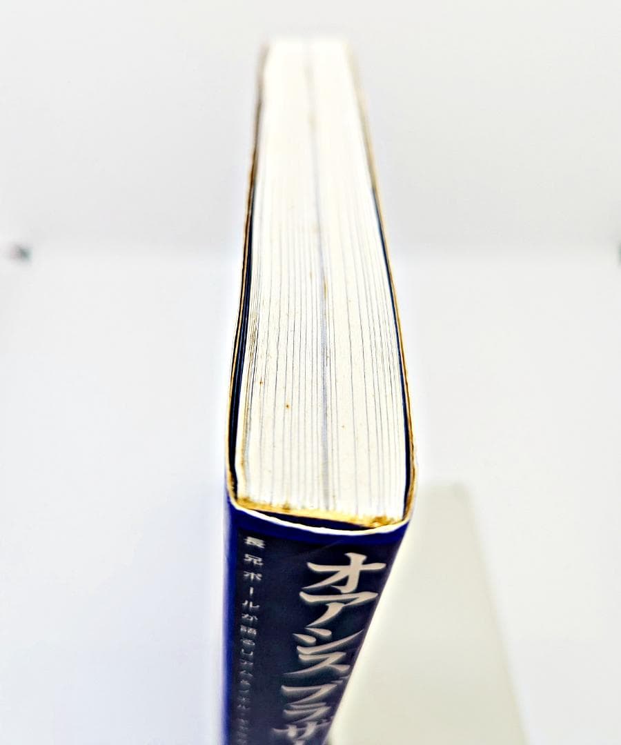 【初版・帯付】 オアシスブラザーズ 長兄ポールが語るリアム&ノエル・ギャラガー