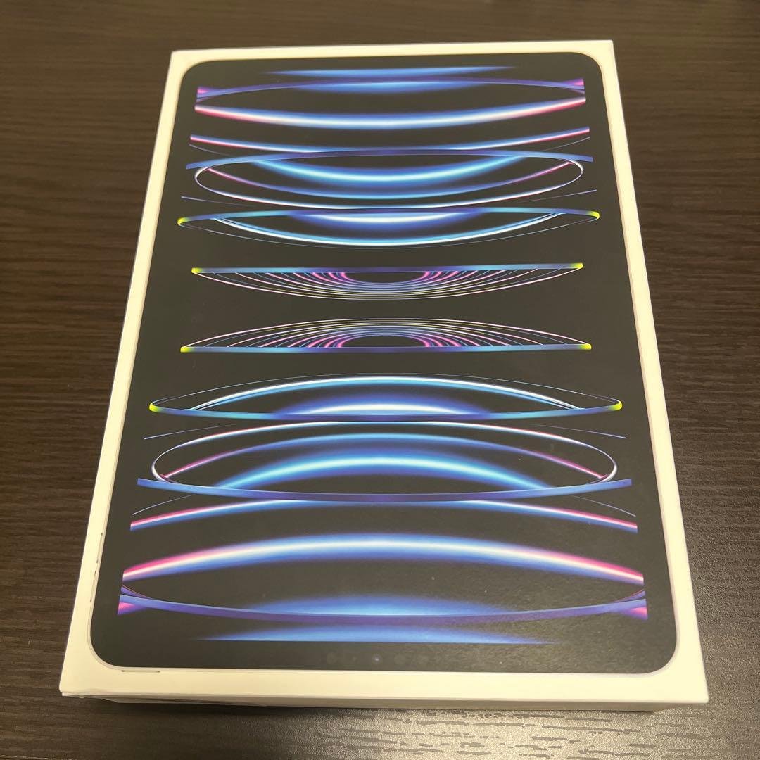 iPadPro11インチ第4世代128GB WiFi + Cellularモデル