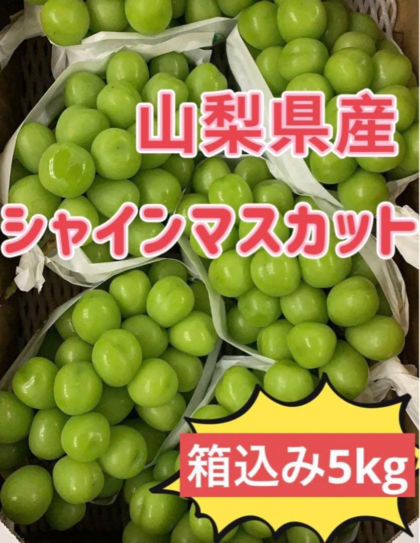 リピ割‼️ 山梨県産　シャインマスカット　葡萄　ブトウ　ぶとう　箱込み10kg