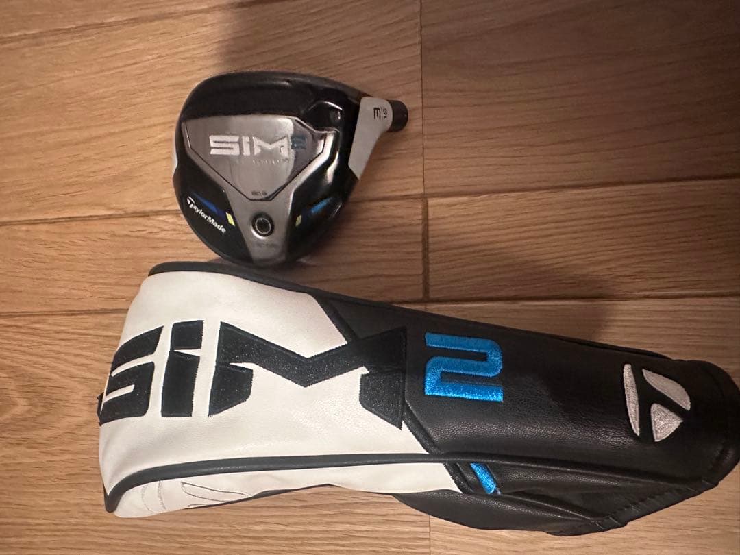 sim2 3w ヘッドのみ