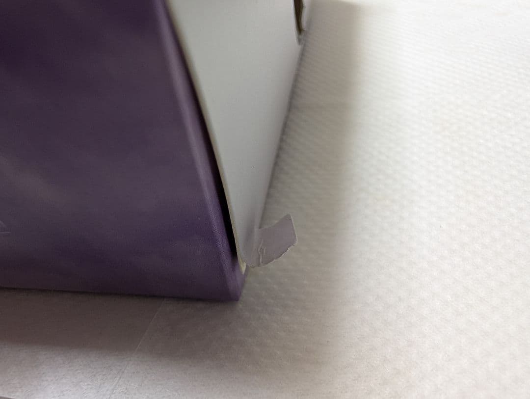 G2 エンデバー2 2BA20g 佐藤かす美選手