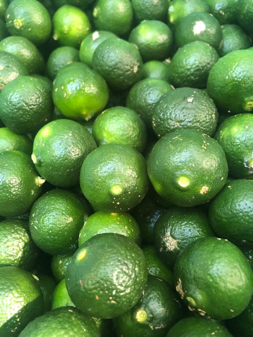 チョンダラー❣️シークワーサー20キロ送料込