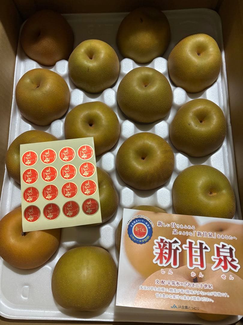 鳥取産新甘泉梨青秀18玉5kg✖️２箱セット！