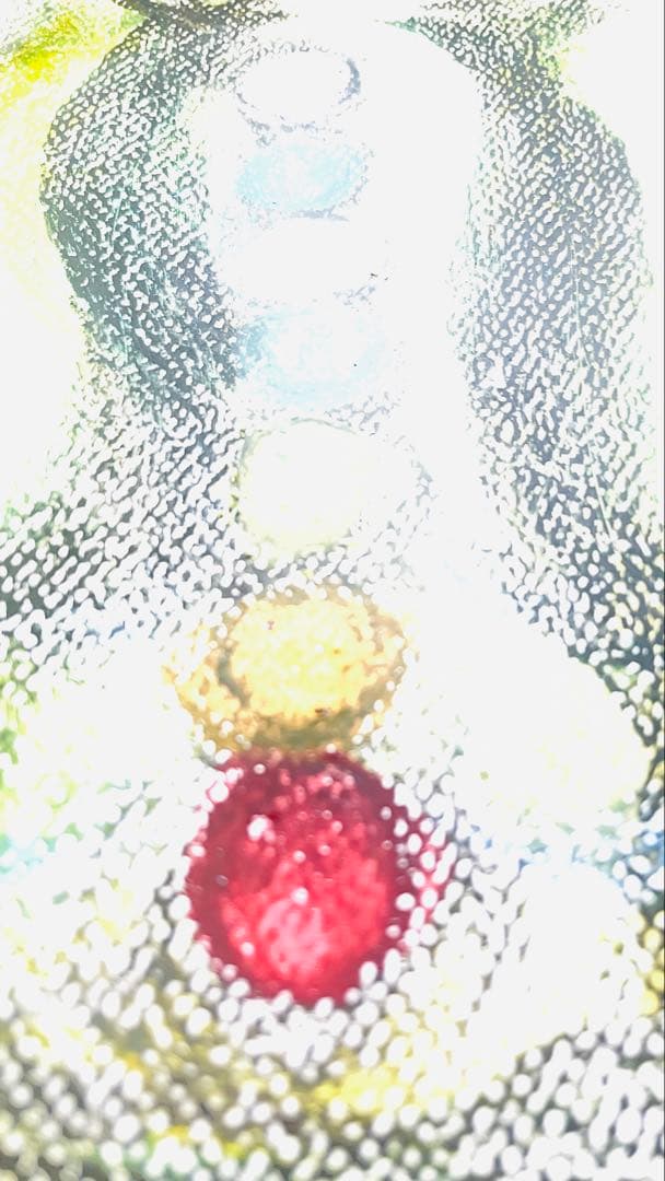 皇が感じた人体チャクラの神文字封じ絵画