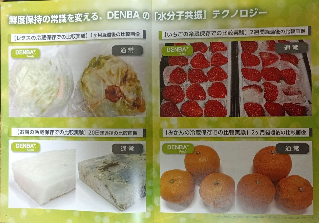 【訳あり新品未使用】DENBA Freshデンバフレッシュ☆多機能鮮度保持装置器