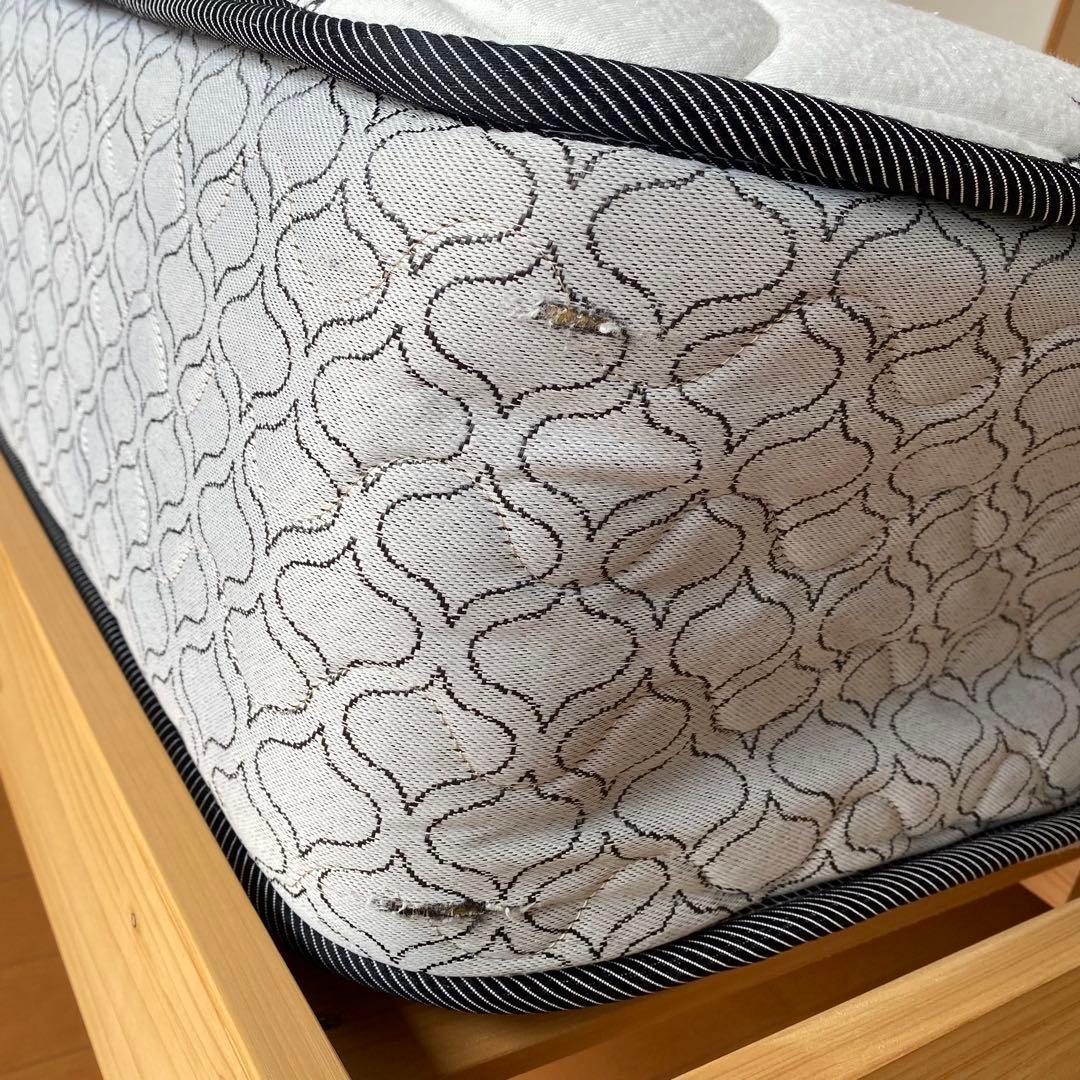 Sealy ×ニトリダブルマットレス＆ニトリ総ひのきベッドフレーム