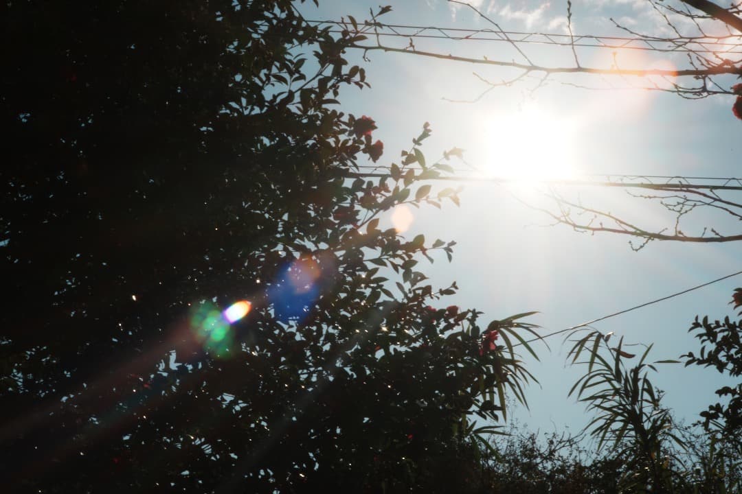 【希少前期型】Nikon Nikkor-H Auto 85mm F1.8 417