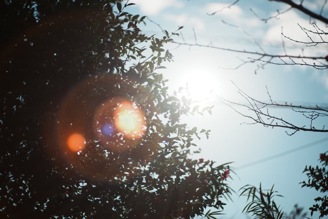 【希少前期型】Nikon Nikkor-H Auto 85mm F1.8 417