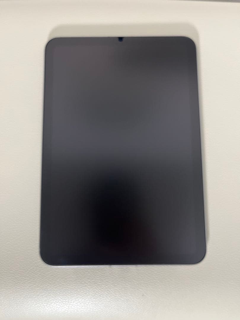 Apple iPad mini A17 Proスペースグレー セルラー256GB