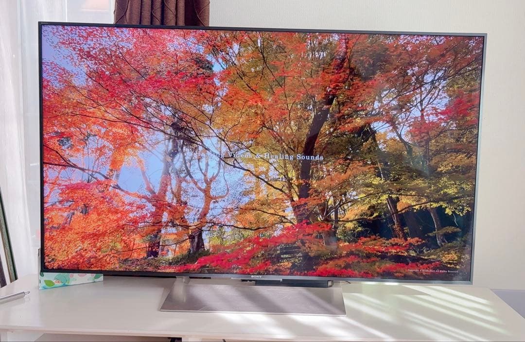 SONY KJ-55X900E 55インチ 4K HDR液晶テレビ