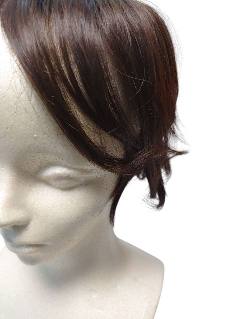 エアリッチ　ジュリアオージェ　部分ウィッグ　アートネイチャー