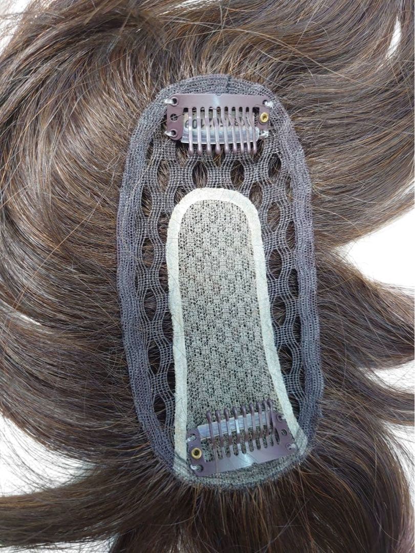 エアリッチ　ジュリアオージェ　部分ウィッグ　アートネイチャー