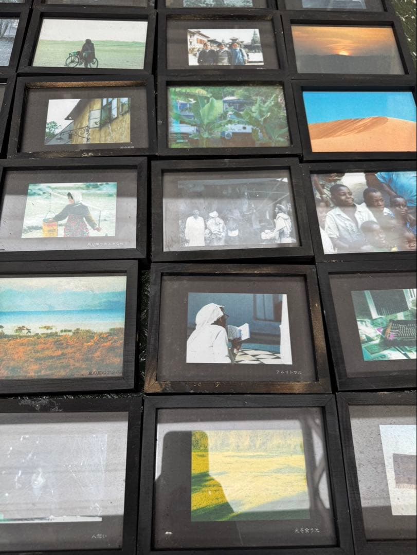 タ*ン様 ポストカード サイズ 額 フォトフレーム 60個