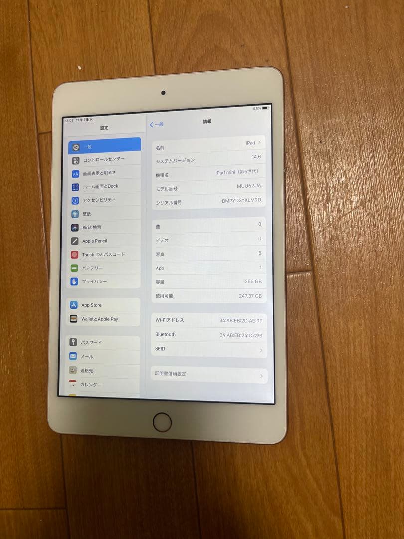 Apple iPad mini (第5世代) 256GB WiFi