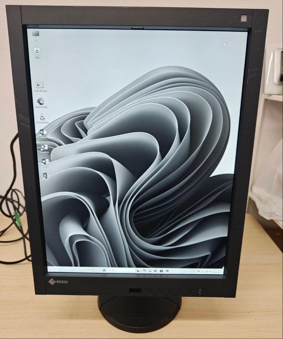 EIZO RadiForce GX540 5MP モノクロ 医用モニター