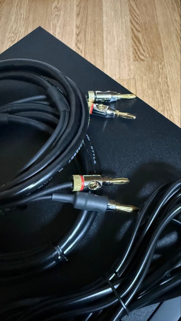 【2025年11月購入】B&W ASW610 サブウーファー（ブラック）