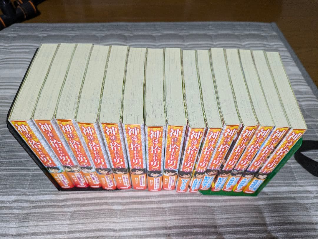 神達に拾われた男　1〜15巻セット