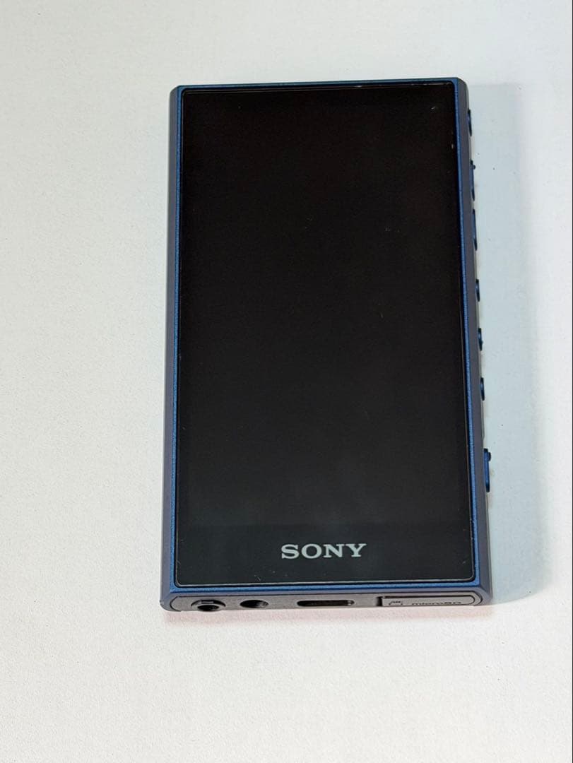 SONY NW-A306ウォークマン 32GB 純正ケース、画面保護シート付き