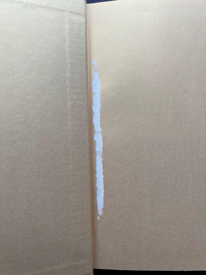 【カバー・付属なし】強運の法則