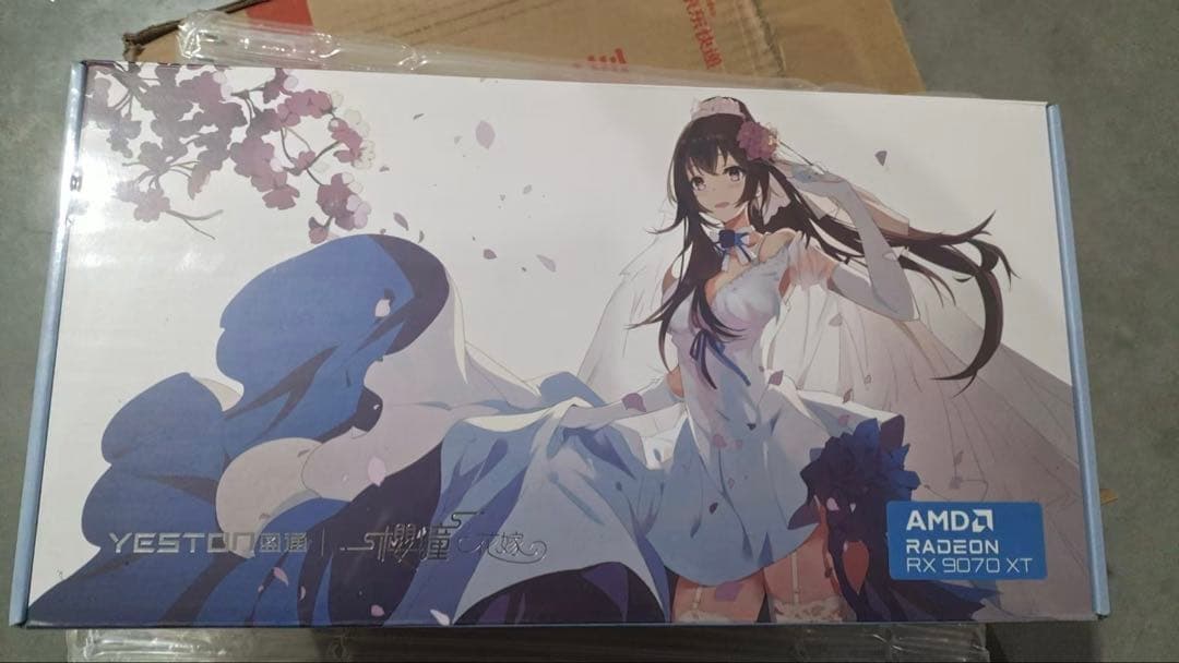 Yeston redeon RX 9070XT 花嫁