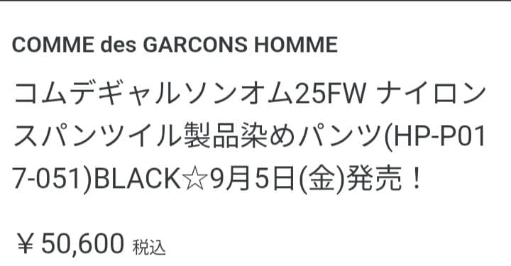 コムデギャルソンオム25FW ナイロンスパンツイル製品染めパンツ