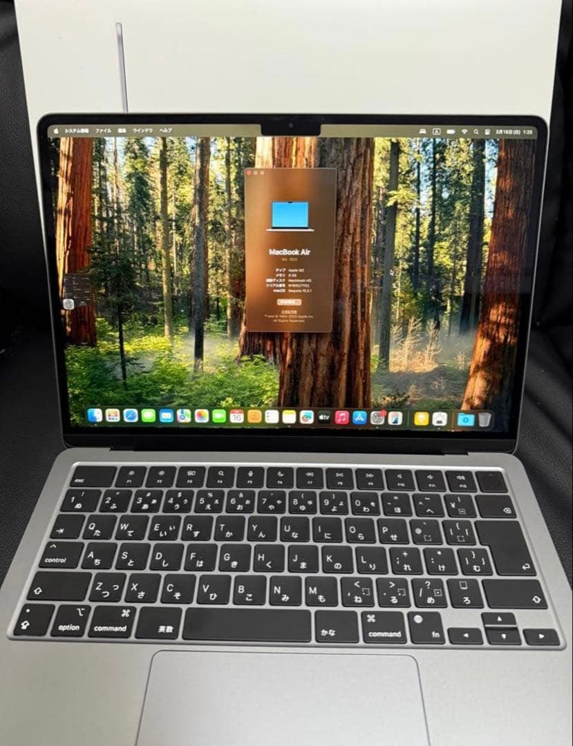 Apple MacBook Air m2シルバー 日本語配列