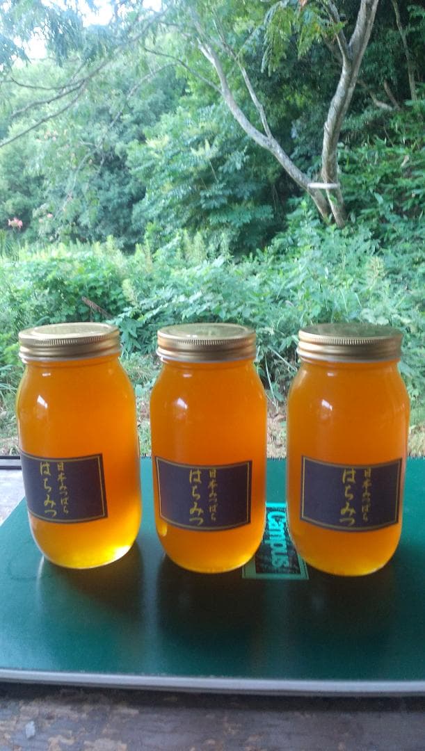日本ミツバチの百花蜜　1000ｇ３本