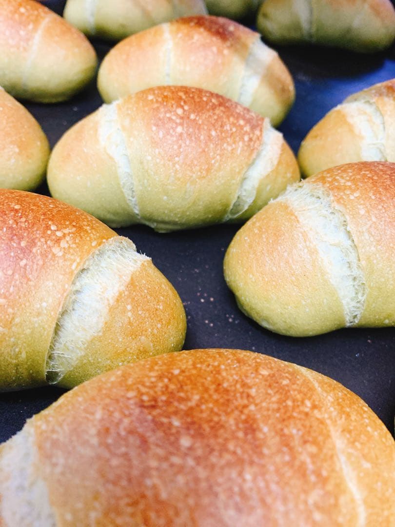 チョゲピ様　5月2日発送