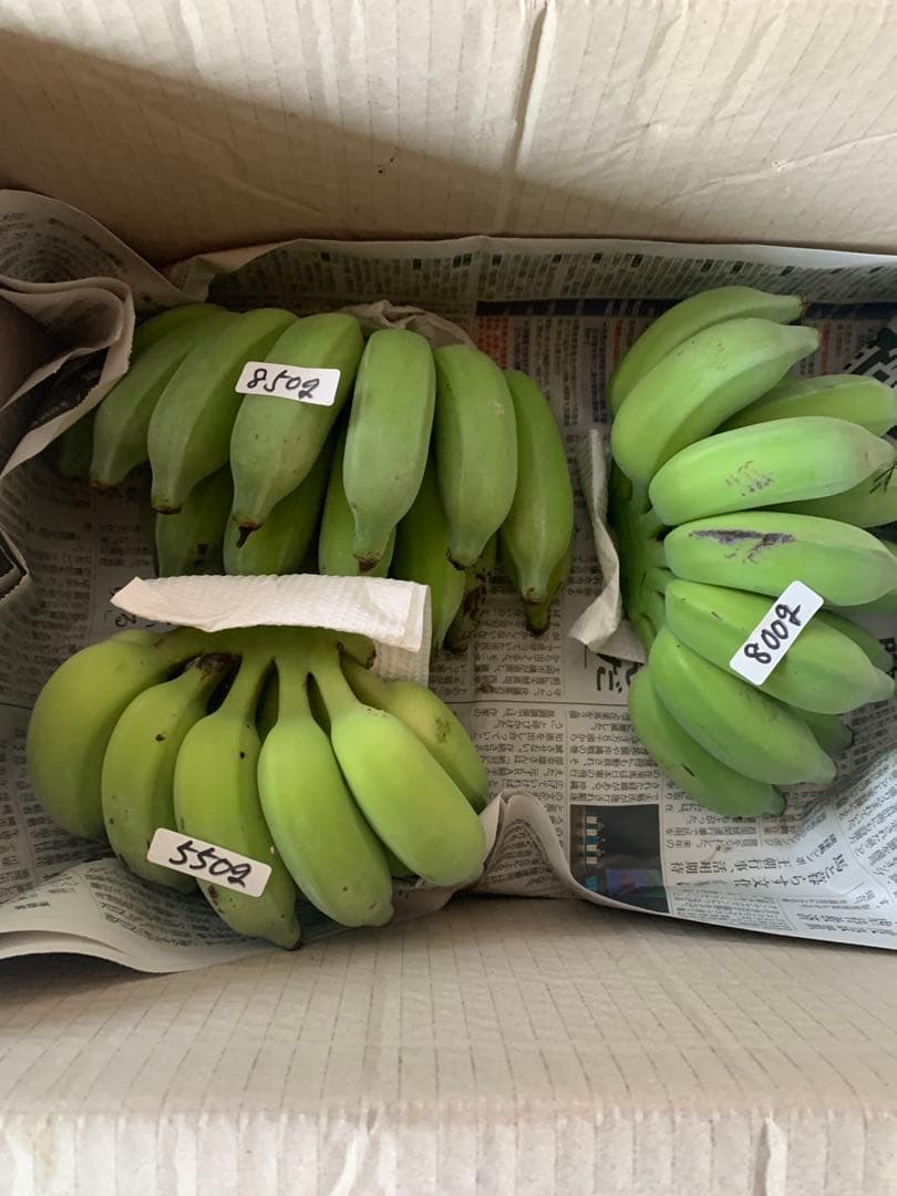 カズピー様　ご予約