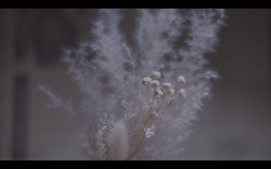 希少？開発未発表？VIVITAR？85mm f1.4 EFマウントアダプター