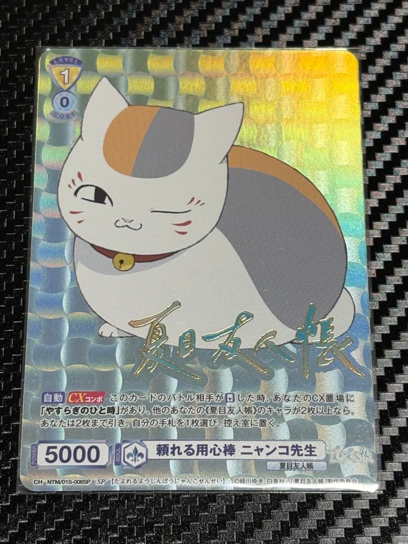 ヴァイス ブラウ 頼れる用心棒 ニャンコ先生 SP 夏目友人帳