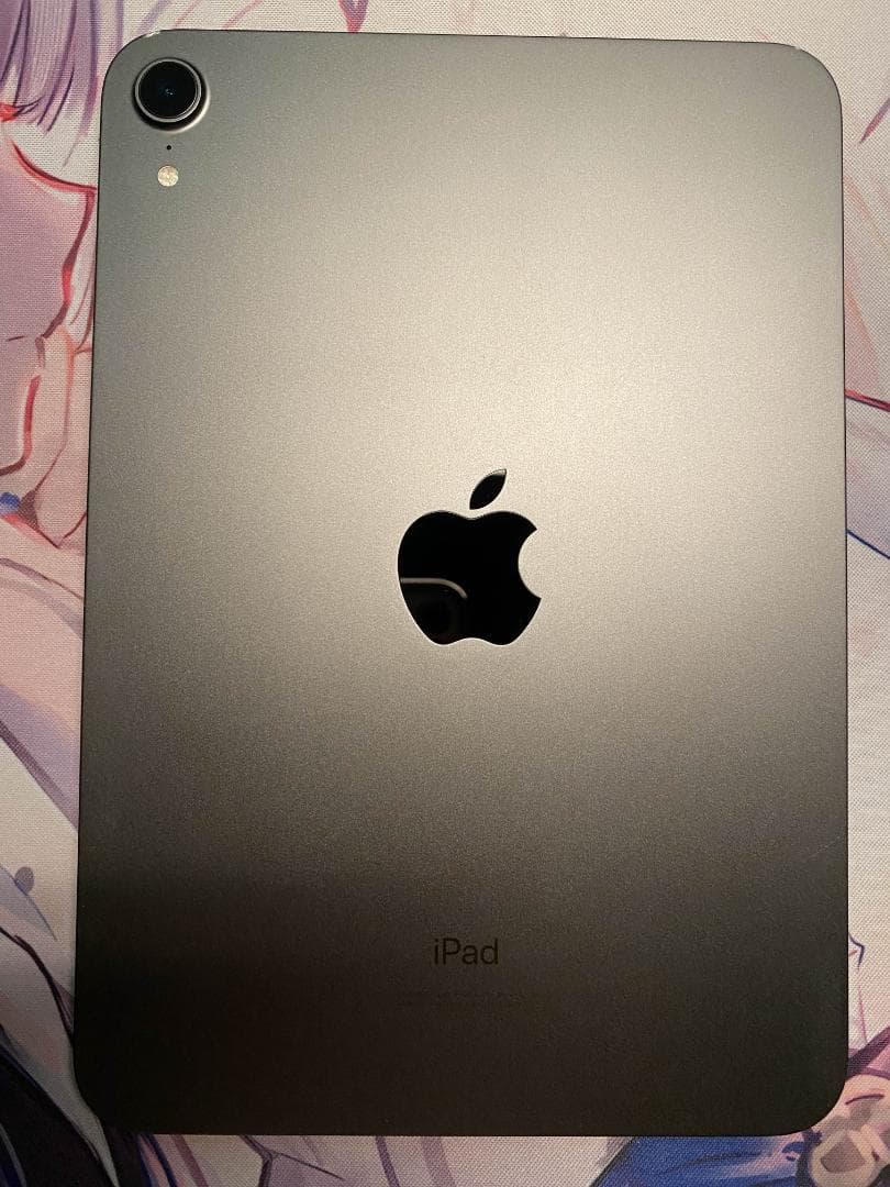 iPad mini6 256GB Wi-Fiモデル