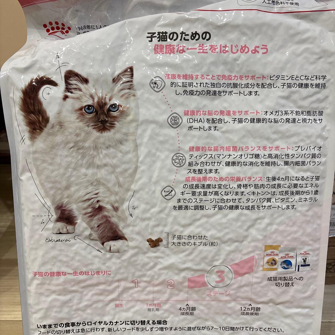 ロイヤルカナン  CANIN 子猫用成長後期ドライフード 10kg