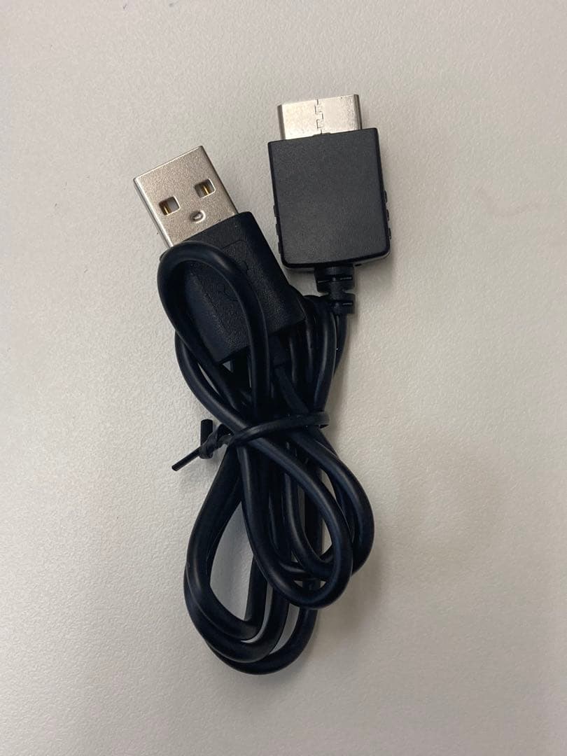 SONY NW-A45 ゴールド デジタルオーディオプレーヤー　充電・カバー付き