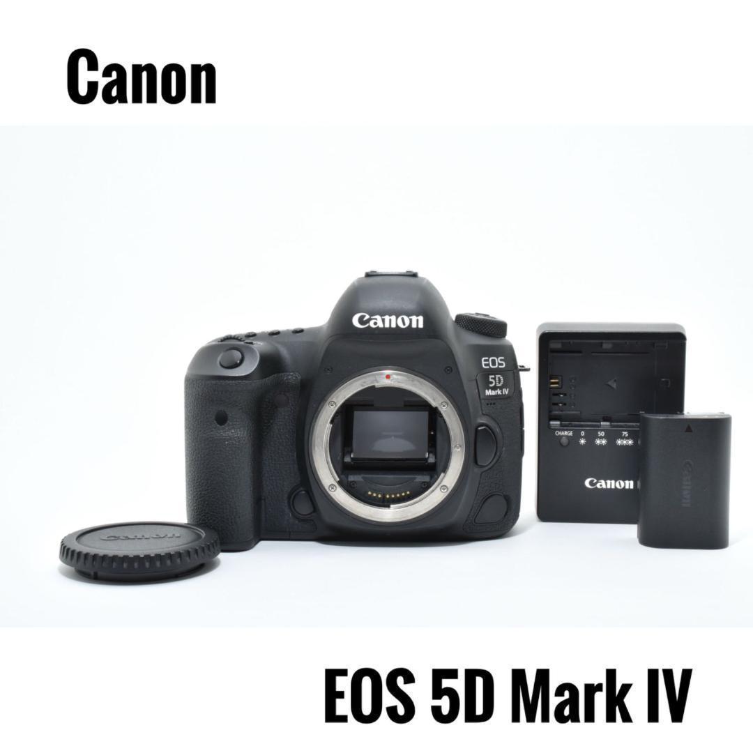 【極美品】キヤノン Canon EOS 5D Mark IV 一眼レフカメラ