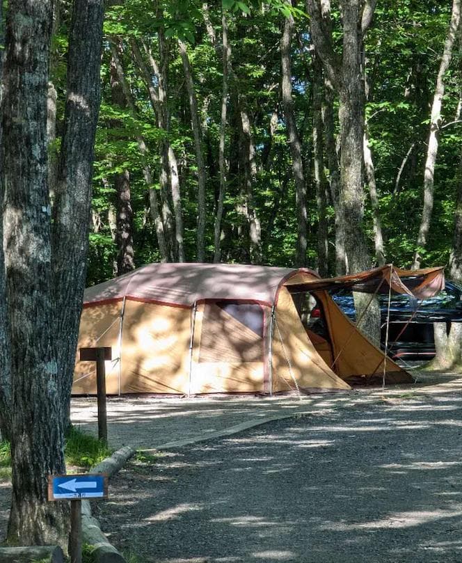  peak エントリー2ルーム　エルフィールド