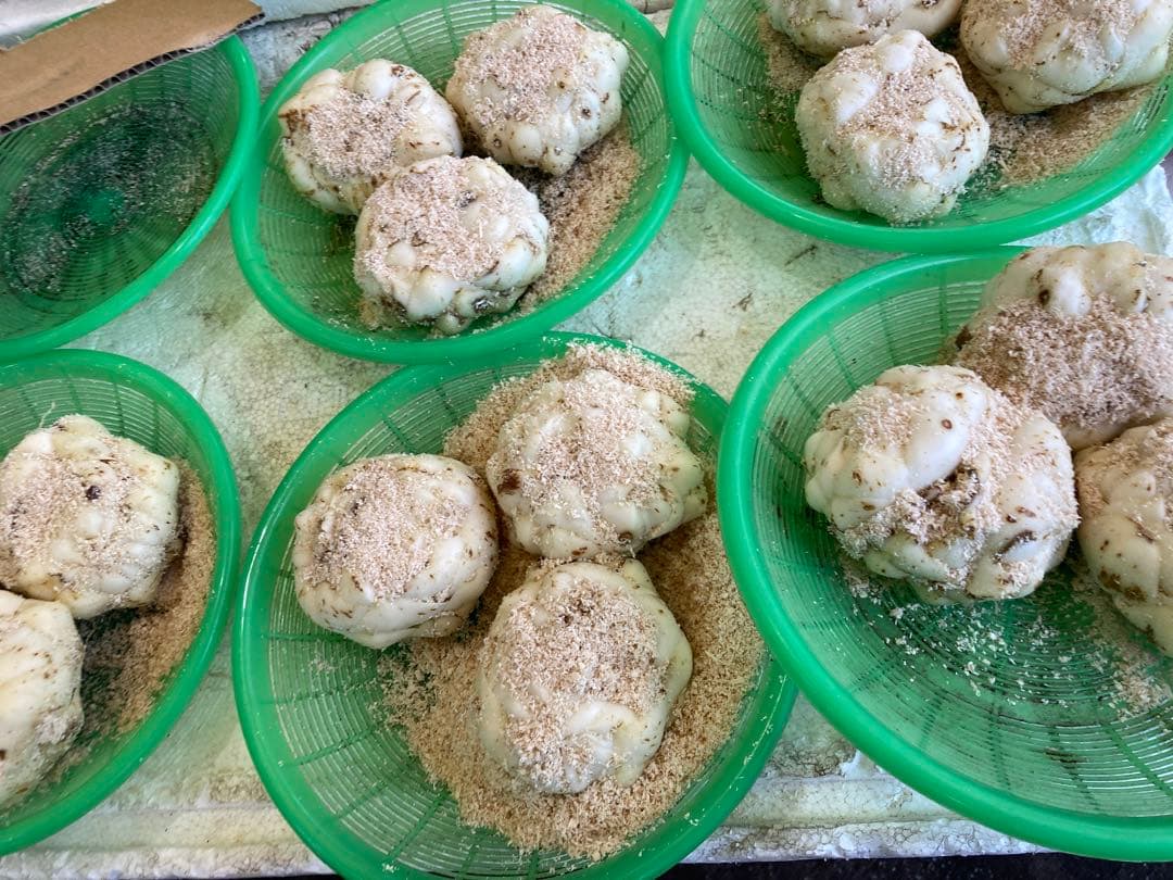 新鮮 ゆり根 百合根　ゆりね 北海道産 ２Lサイズ33個5kg