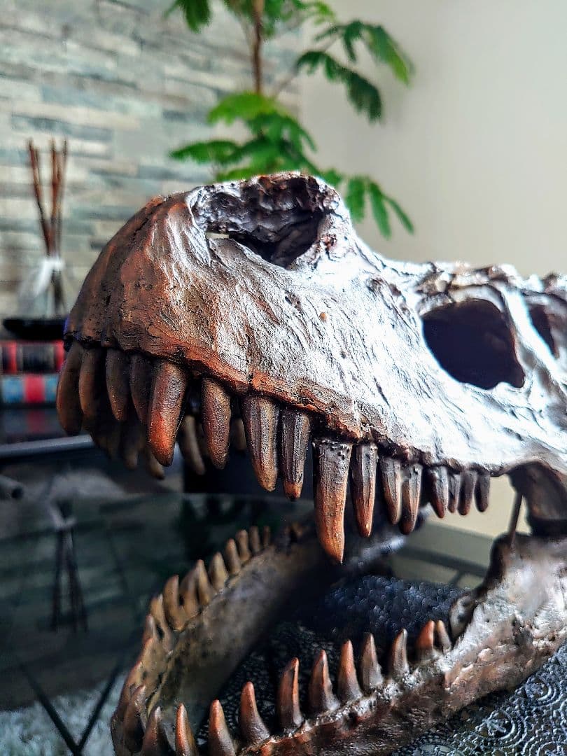 【DINOWORLD】ティラノサウルス 頭骨 化石 ジュラシックパーク