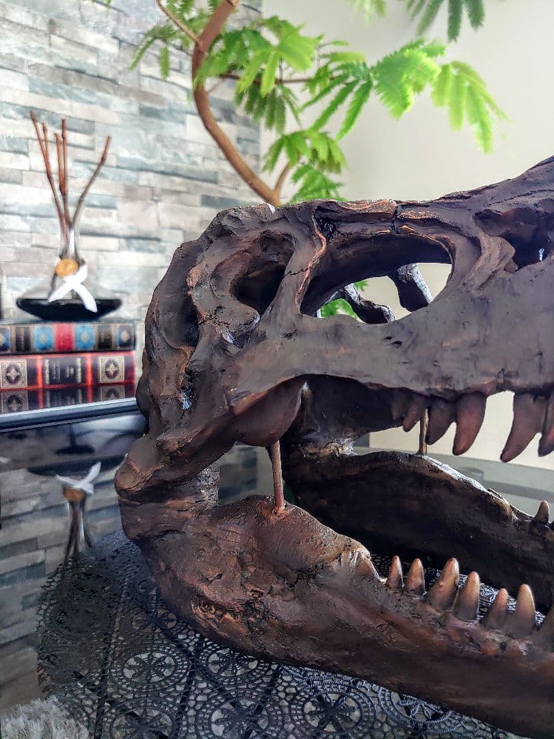 【DINOWORLD】ティラノサウルス 頭骨 化石 ジュラシックパーク