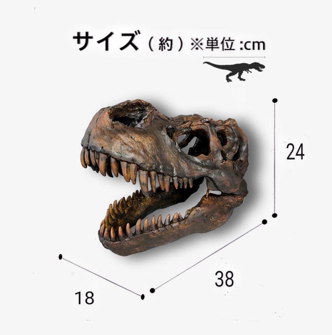 【DINOWORLD】ティラノサウルス 頭骨 化石 ジュラシックパーク