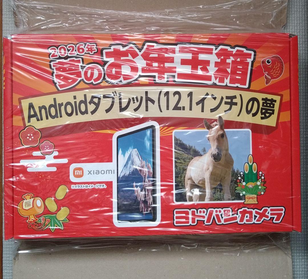 Androidタブレット12.1インチ☆ヨドバシカメラ、夢のお年玉箱