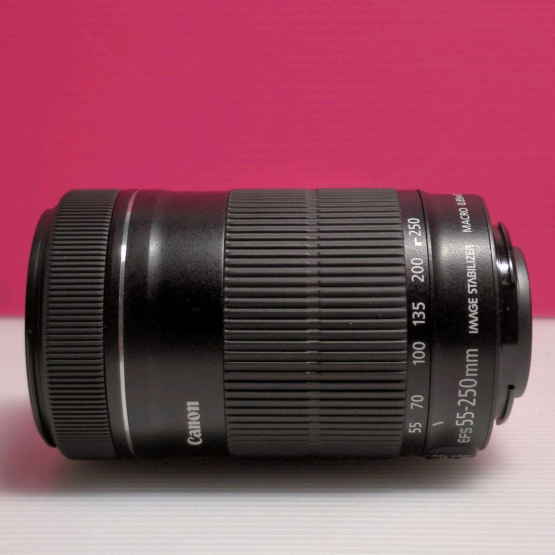 ★極美品★Canon EF-S 55-250mm F4-5.6 IS STM