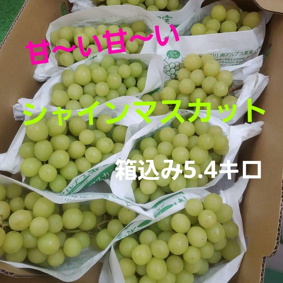1⃣ 山梨県産 シャインマスカット ９房入り 箱込み5.4キロ